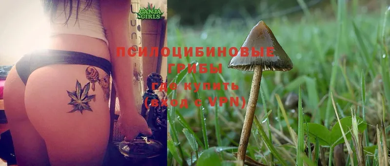 Галлюциногенные грибы MAGIC MUSHROOMS  OMG ONION  Малгобек 